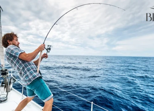 What makes fishing trips in Dubai a must-try adventure?