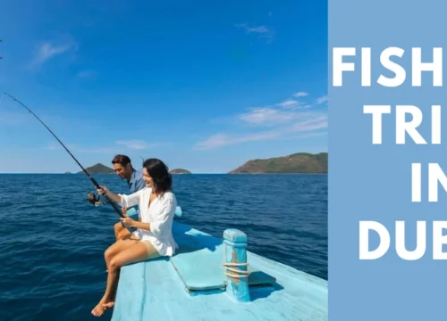 Planning Your Perfect Fishing Trip in Dubai: A Step-by-Step Guide