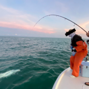fishing in dubai